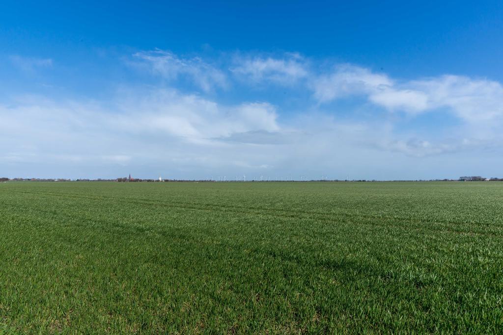 Gaestehaus Sulsdorf - Adults Only Sulsdorf auf Fehmarn Exteriör bild